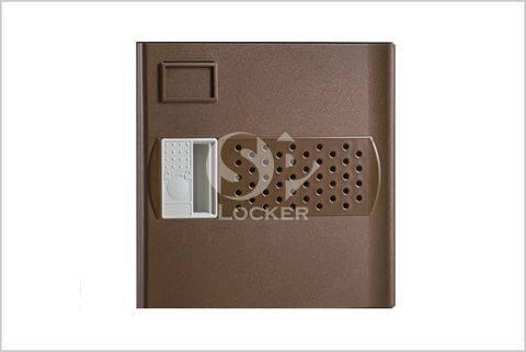 Coffee Brown Coffee Brown